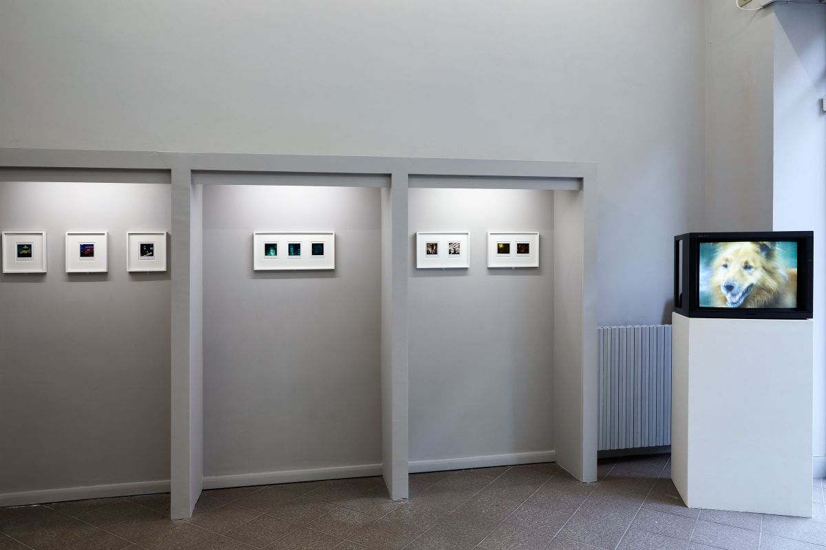 Exhibition view, Milan 2020. Photo: Henrik Blomquist